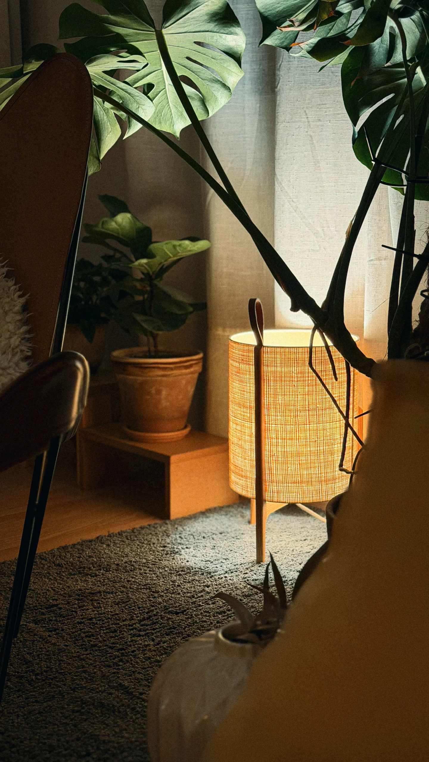 Un coin salon cosy éclairé par une lampe chaude et des plantes