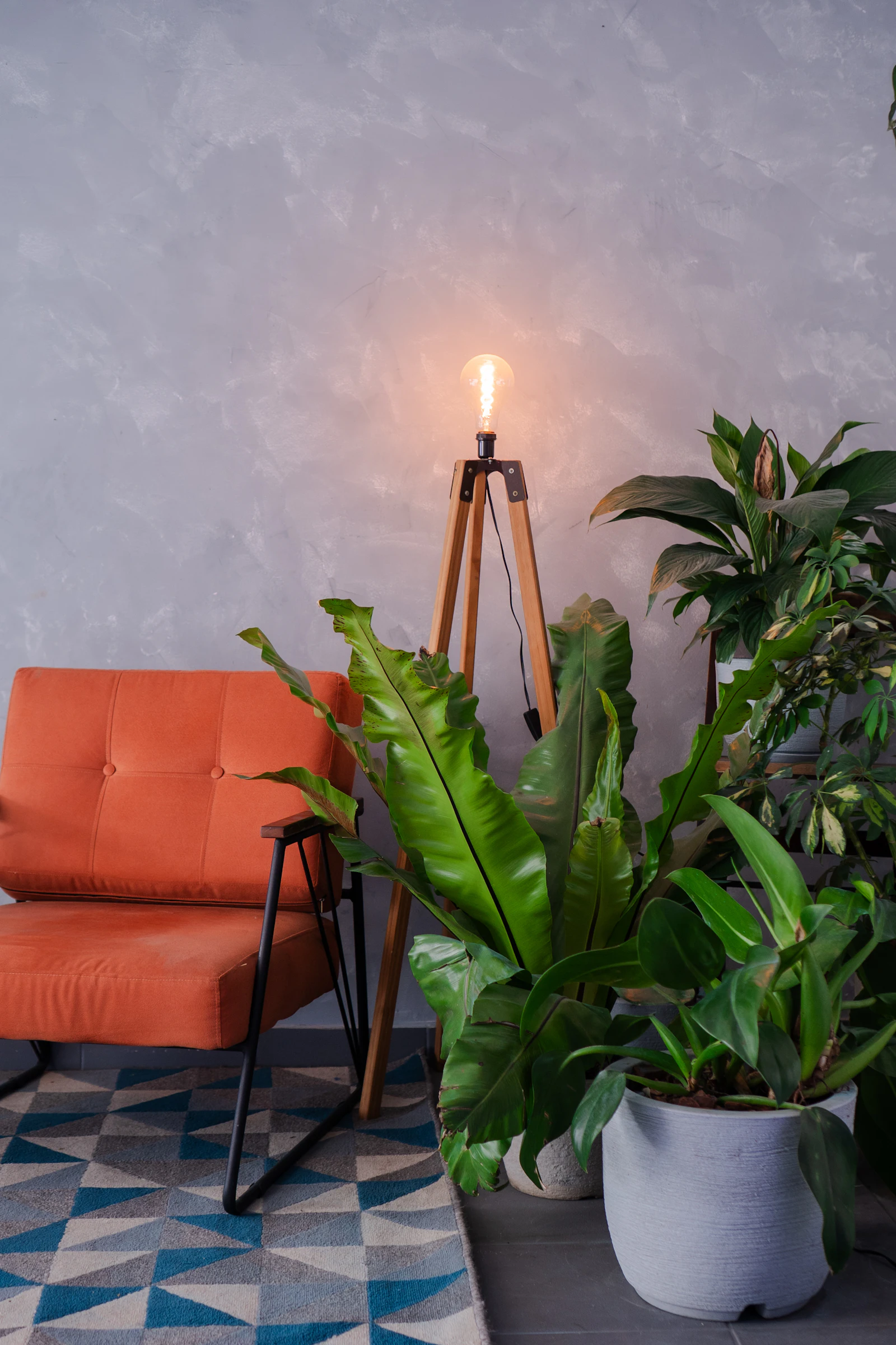 Un fauteuil orange, une lampe et des plantes dans une pièce lumineuse