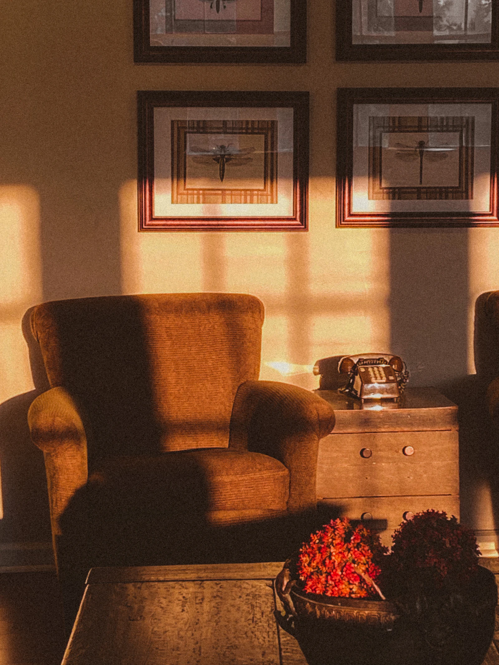 Un fauteuil en velours baigné de lumière dorée