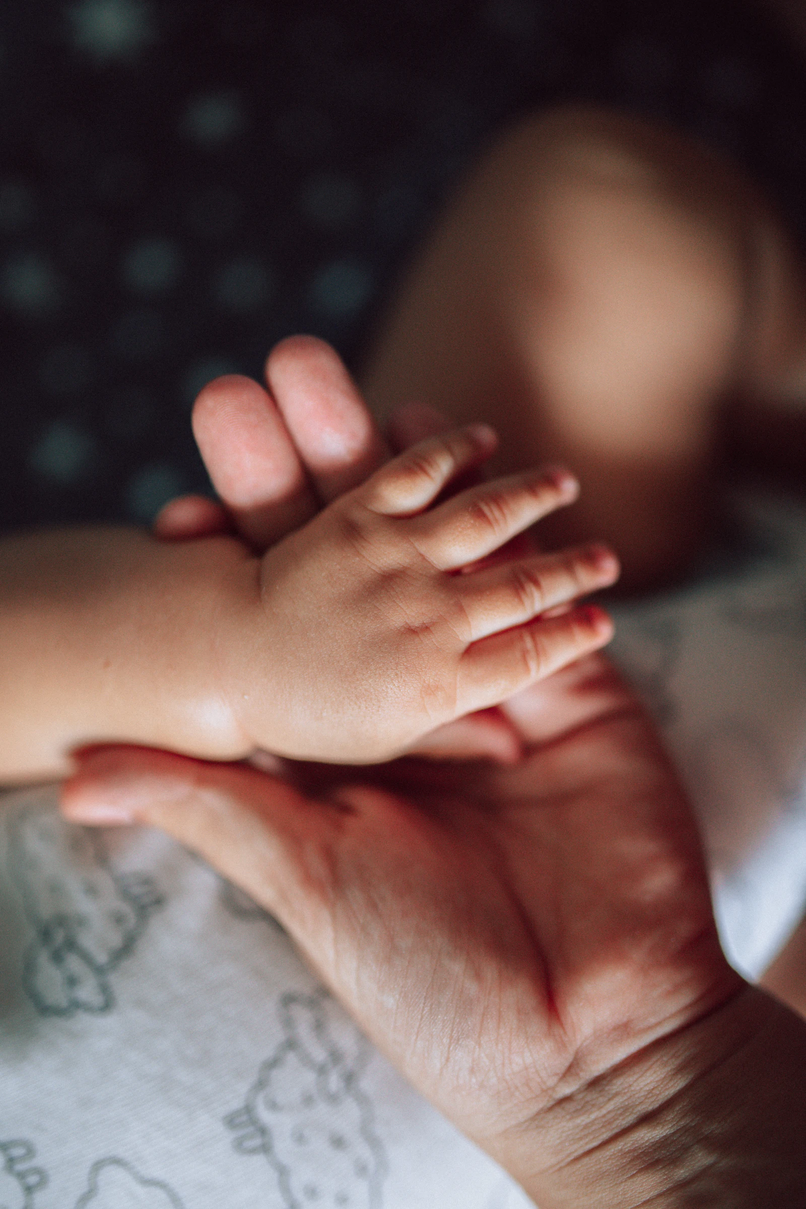 La petite main d’un enfant posée dans la paume d’un adulte